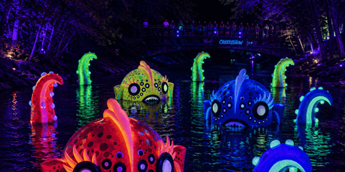 Austin's Creek Show unveils 10 works for 2026 in shining new location