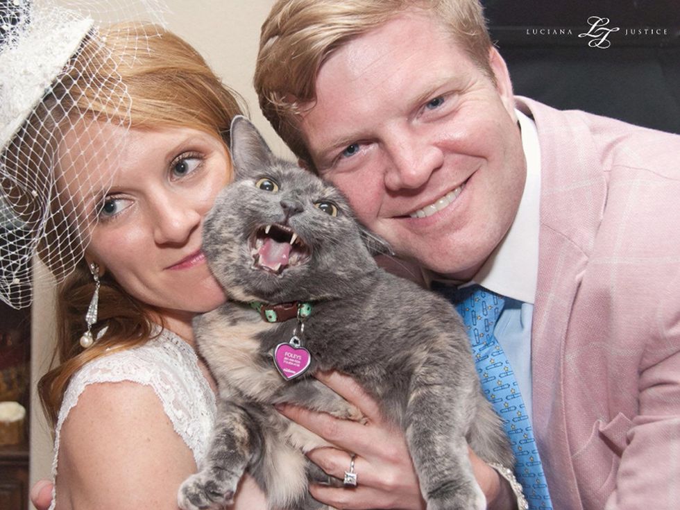 Danielle and Justin Foley wedding photo with crazy cat