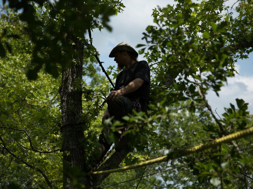 David Daniel of east Texas in a tree from the SXSW documentary Above All Else