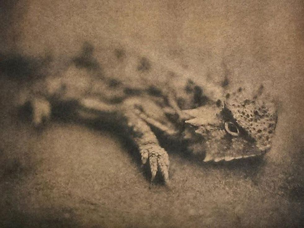 David Johndrow Natural Light