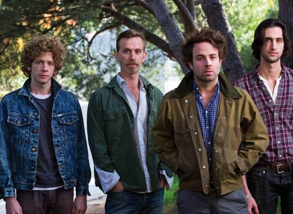 Dawes in the forest