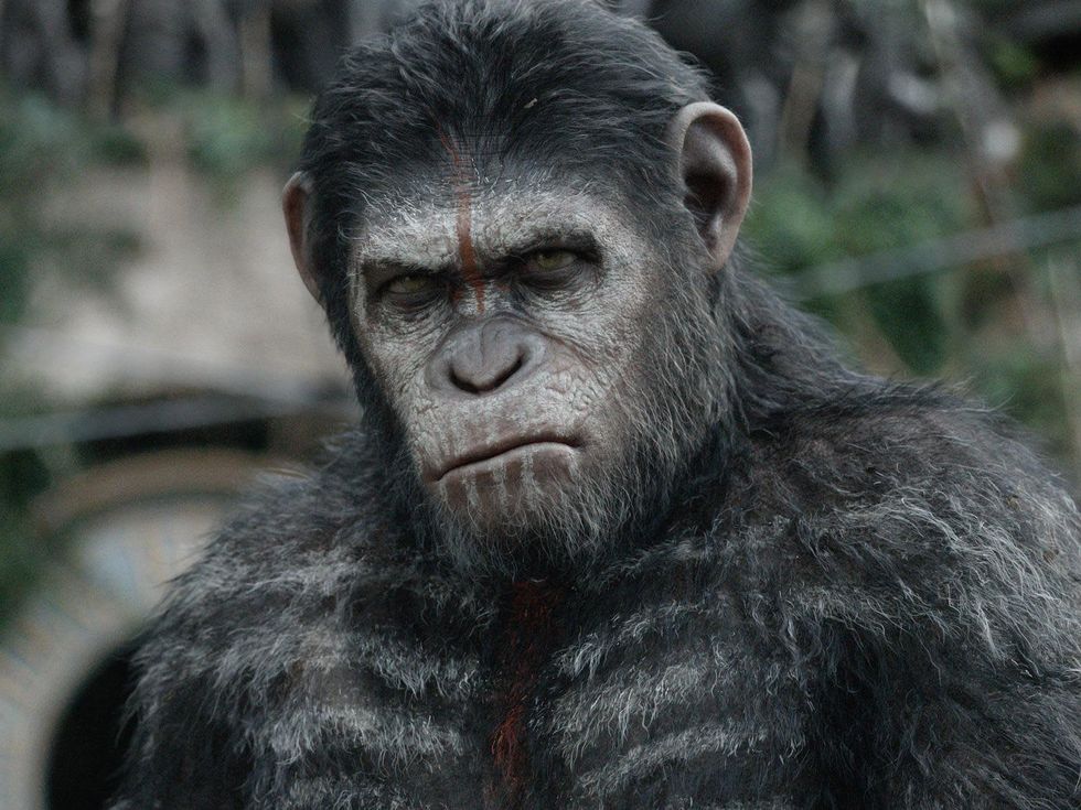 Dawn of the Planet of the Apes