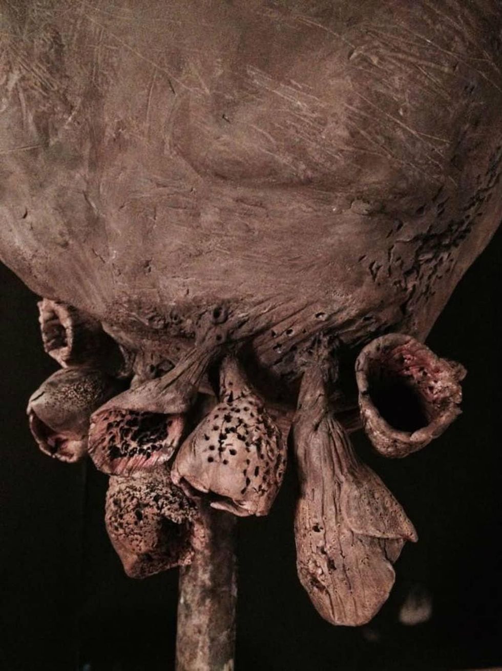 Dimension Gallery "Emergence" by Alejandra Almuelle