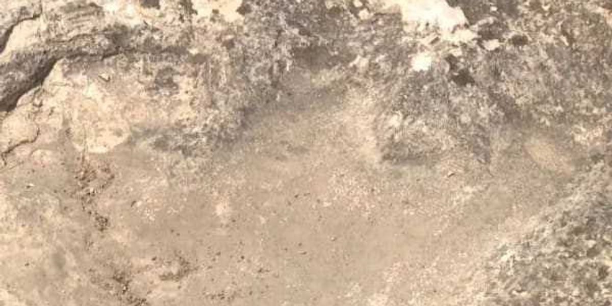 Hiker near Austin discovers impressively preserved dinosaur track
