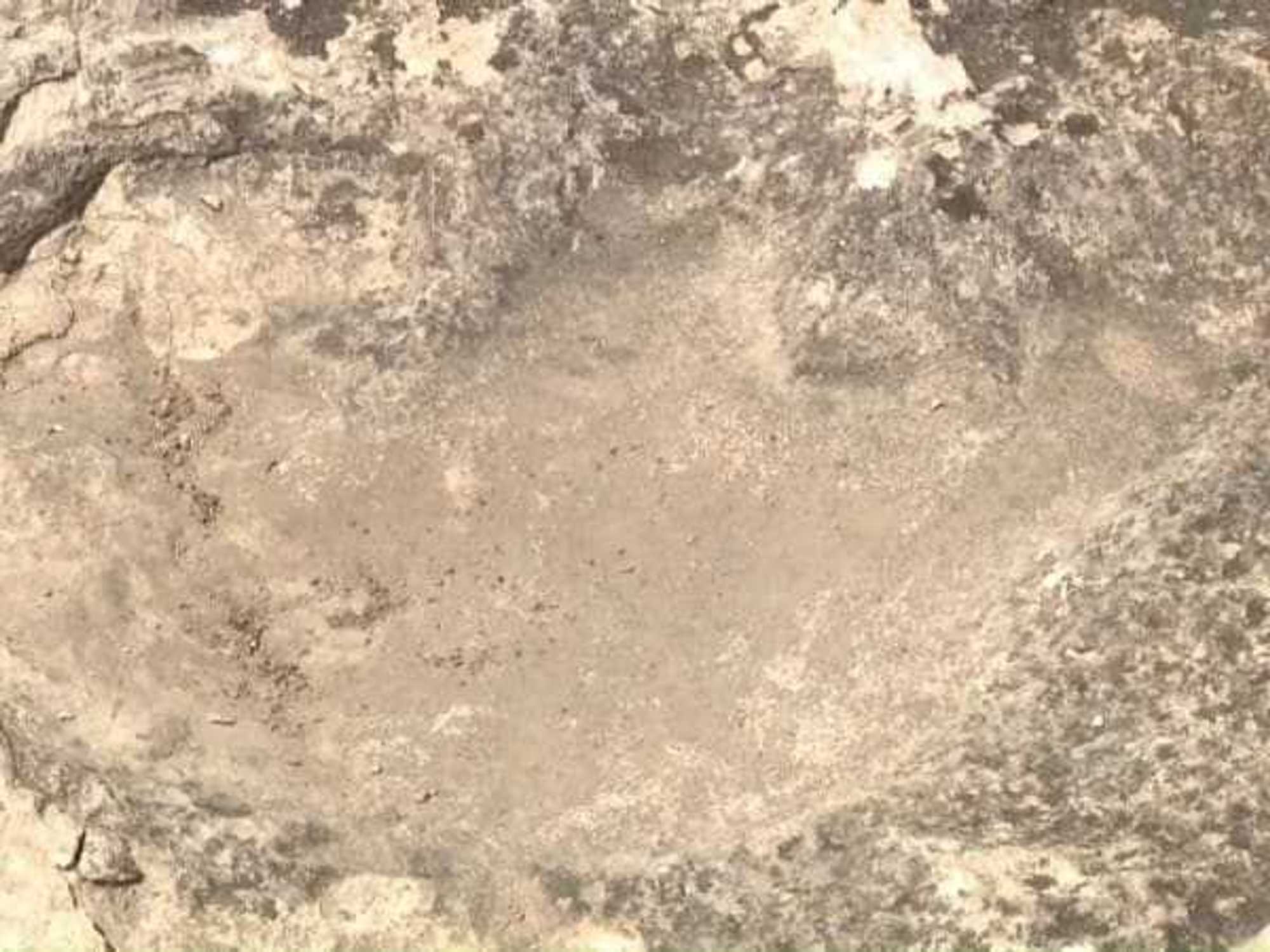 DInosaur track found in Hutto
