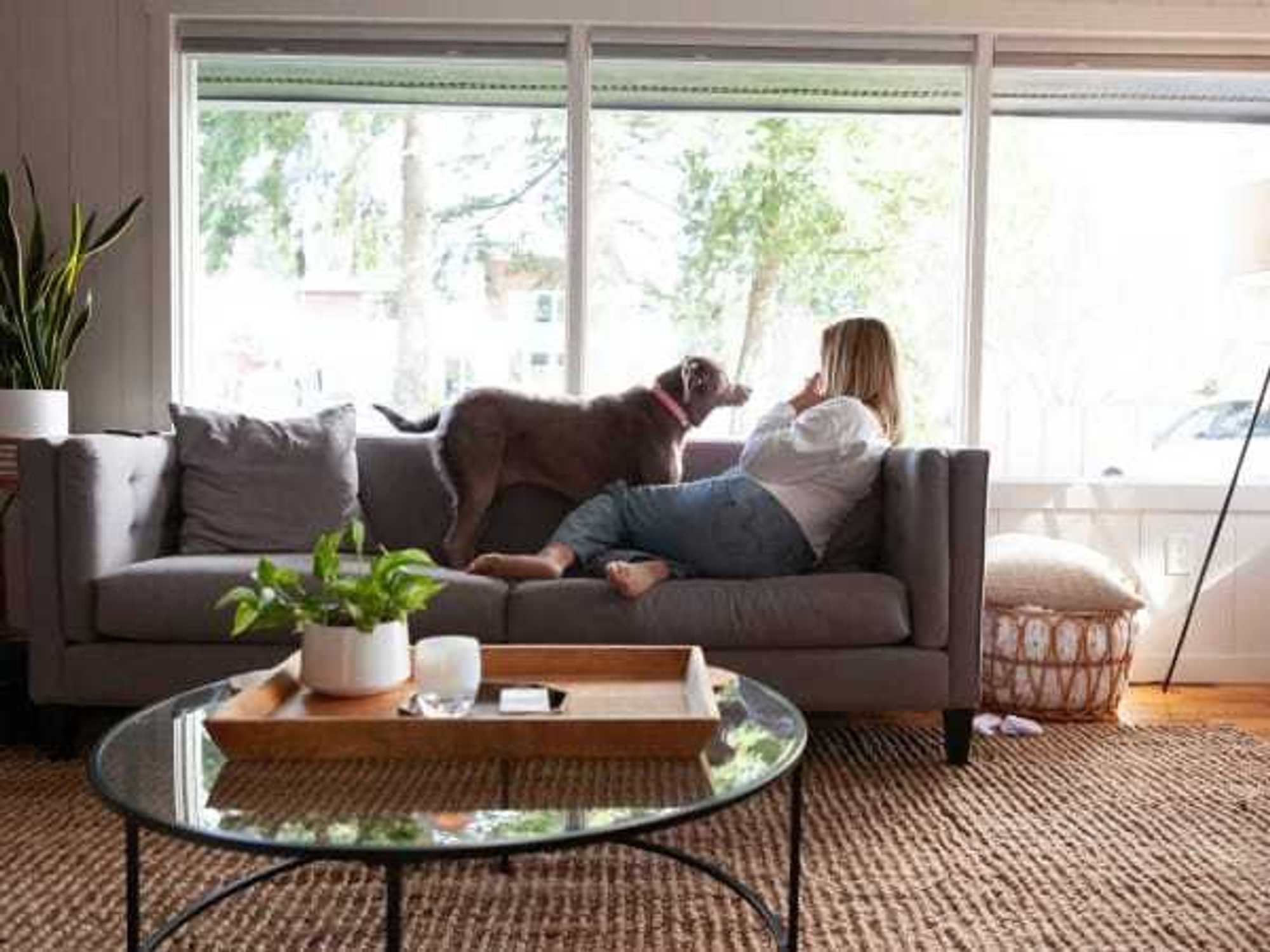 Dog and person at home