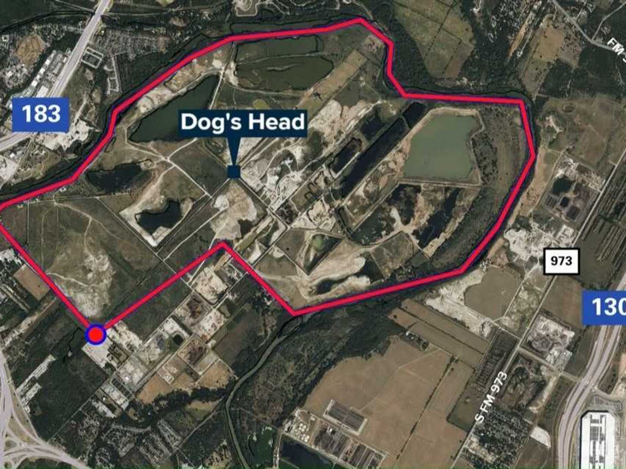 Dog's Head development