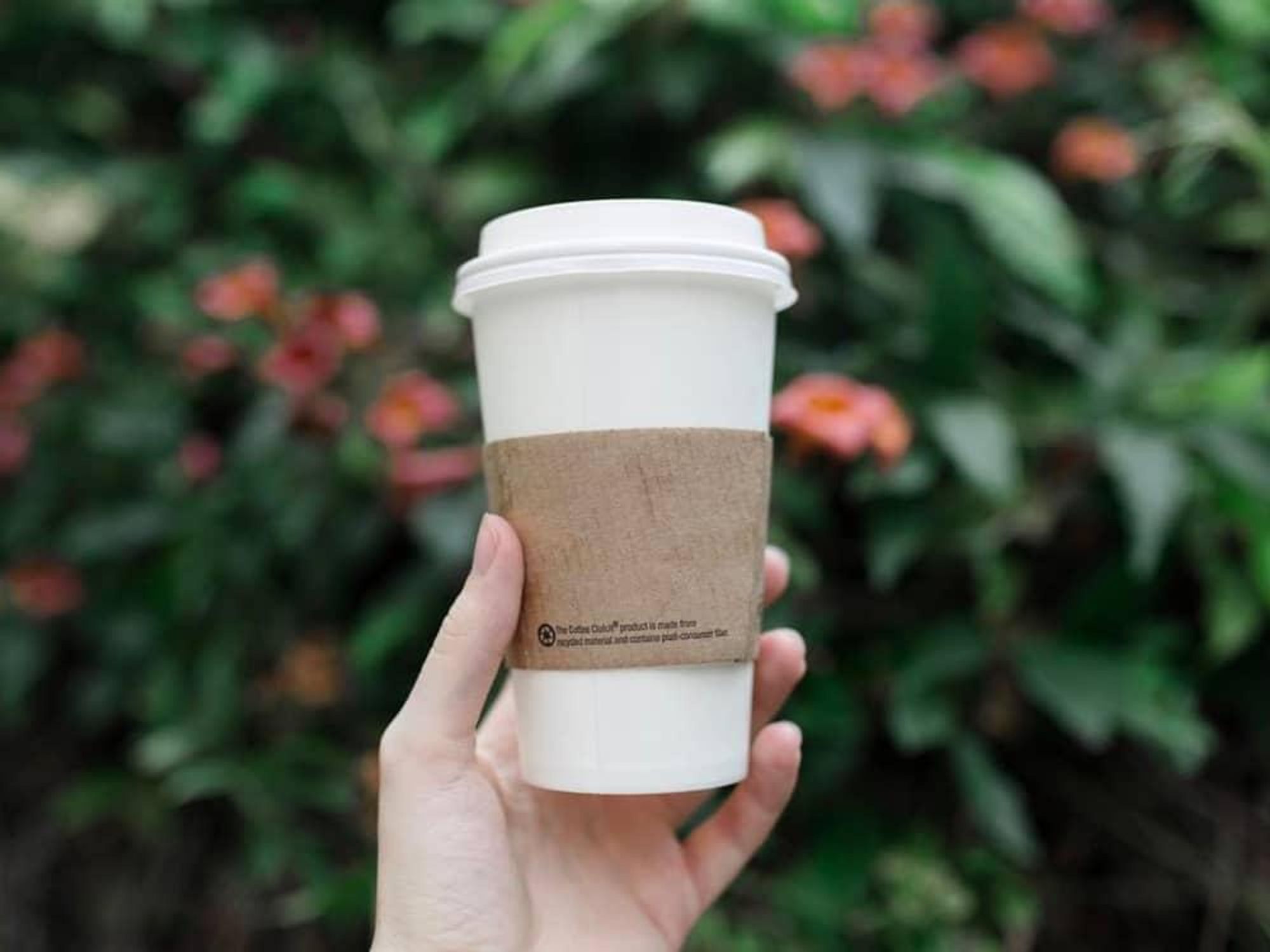 Dominican Joe coffee