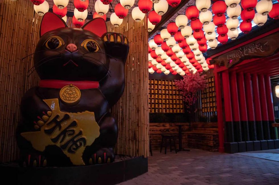 Domo Alley-Gato entry