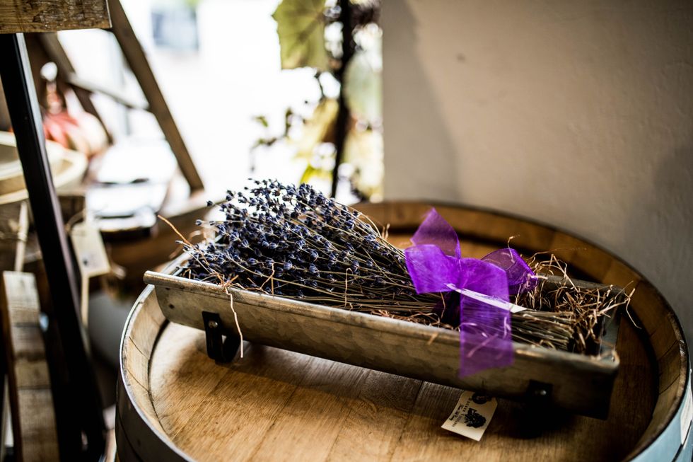 Dried lavender at Becker Vineyards