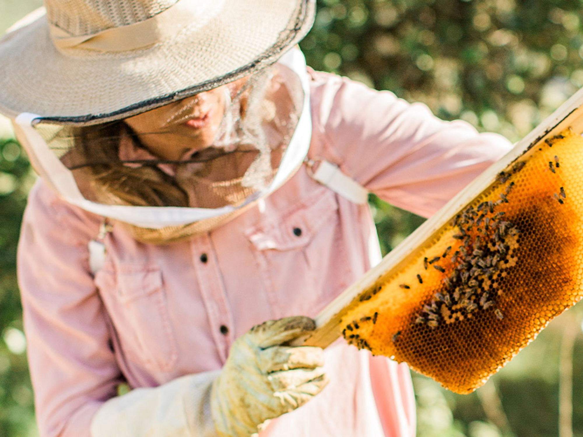 Driftwood Honey Harvest Festival at Vista Brewing