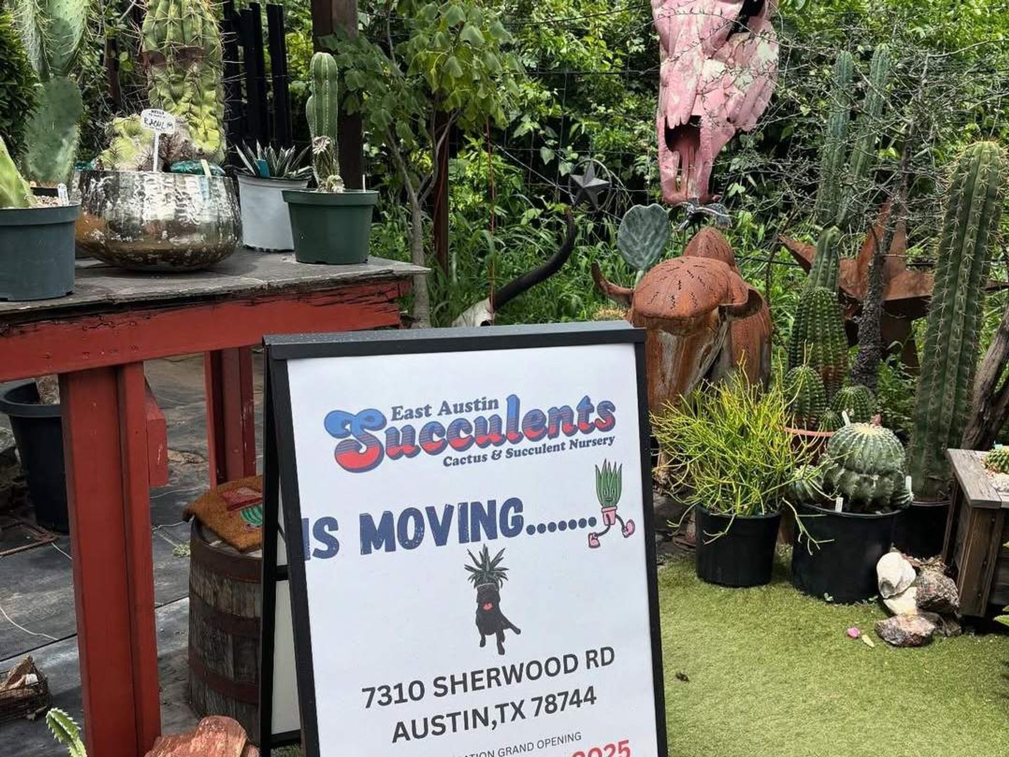 East Austin Succulents moving sign