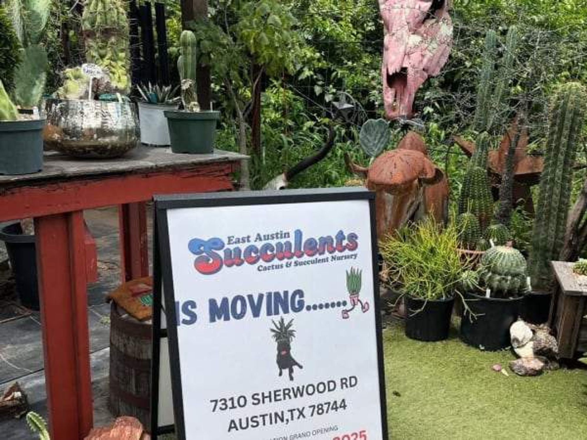 East Austin Succulents moving sign