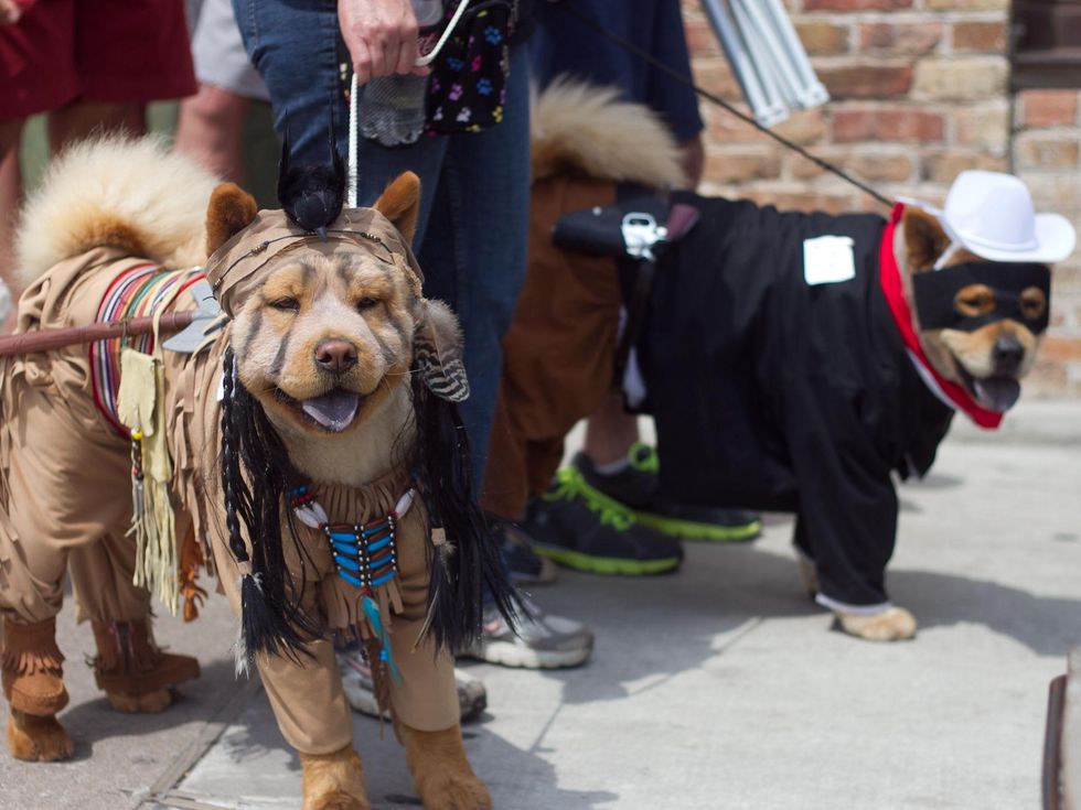 Easter Pet Parade on South Congress 2014 Tonto Lone Ranger