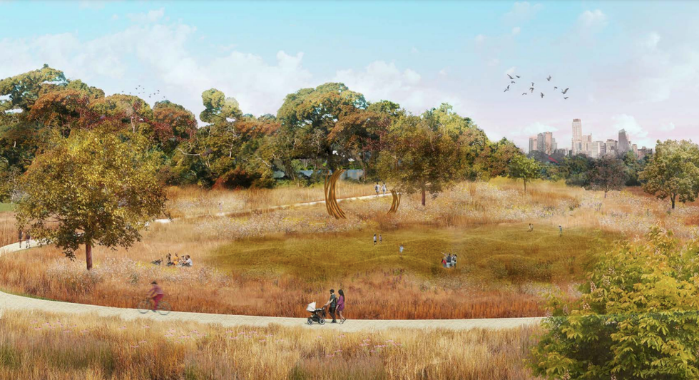 Ecological Uplift Zilker Park