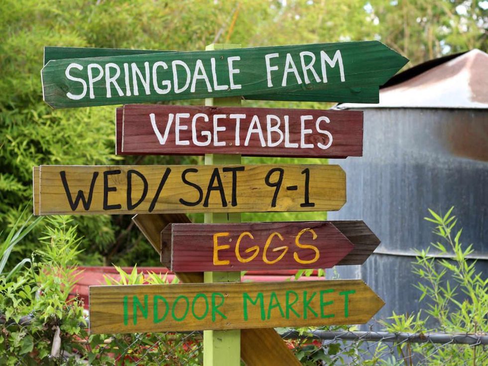 These favorite Austin neighborhood restaurants are about more than just food