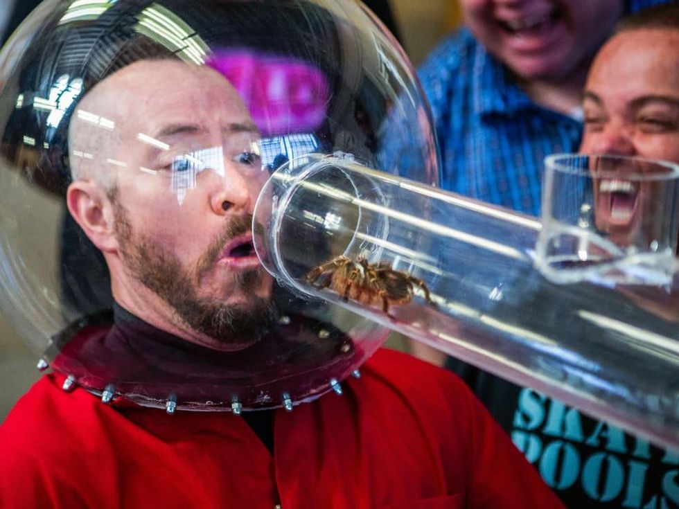 Ehren McGhehey in Jackass Forever