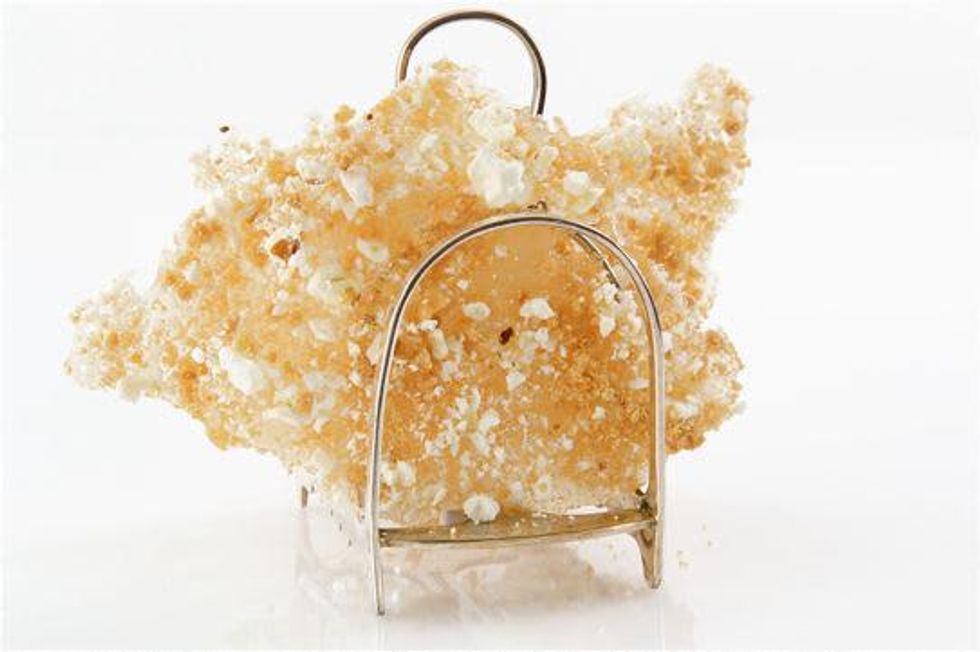 El Bulli crisp looks like Lela Rose dress