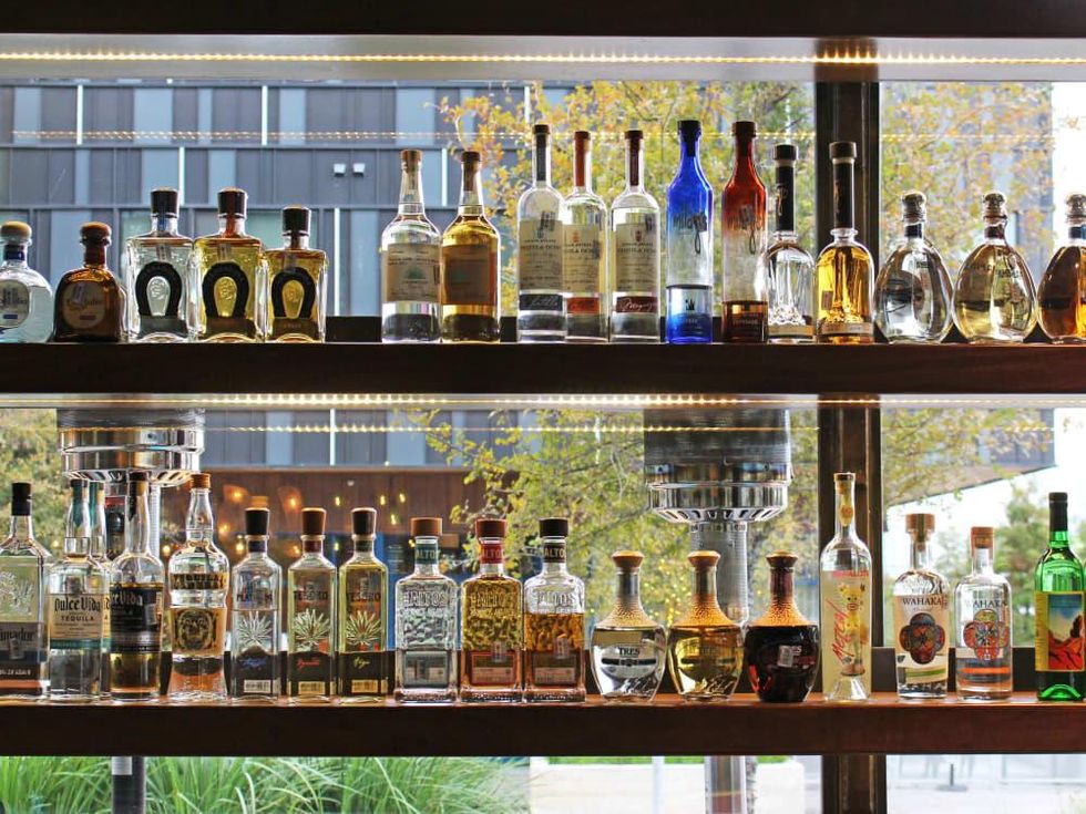 El Burro Tex Mex and Bar restaurant tequila