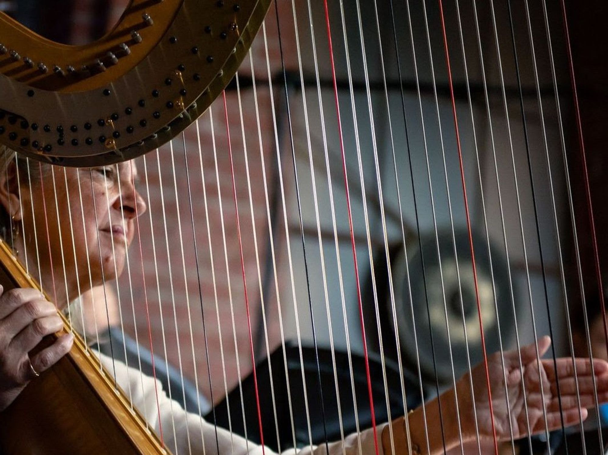 Elaine Barber harpist Austin