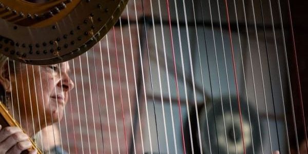 Austin gallery breaks out the bean bags for cozy ambient music series - Vimarsana News