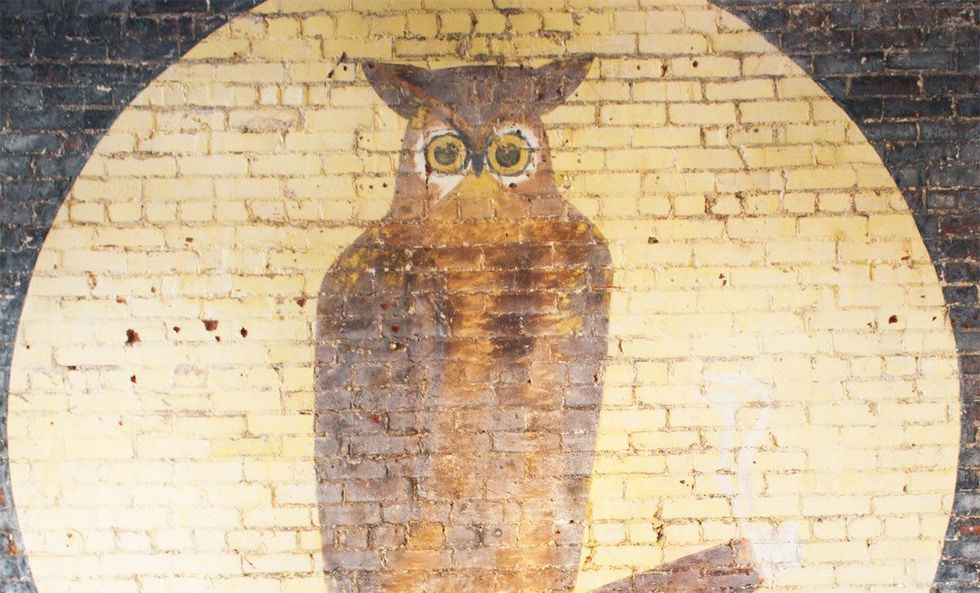 Elgin's The Owl