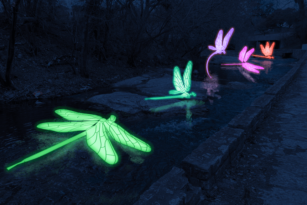 Enter the Dragonfly mockup for Austin Creek Show 2022.
