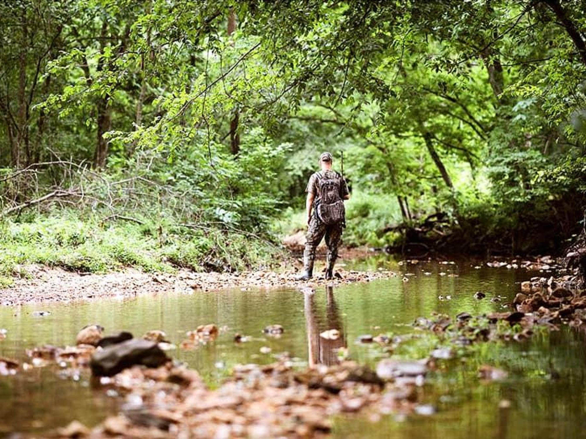 everest online fishing