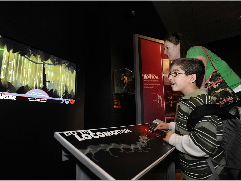 Extreme Mammals exhibit interact