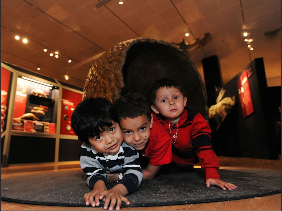 Extreme Mammals exhibit kids