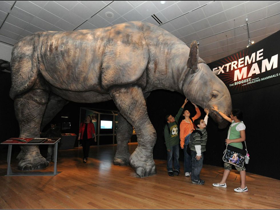 Extreme Mammals exhibit makes exclusive Texas stop at Austin's Bullock ...