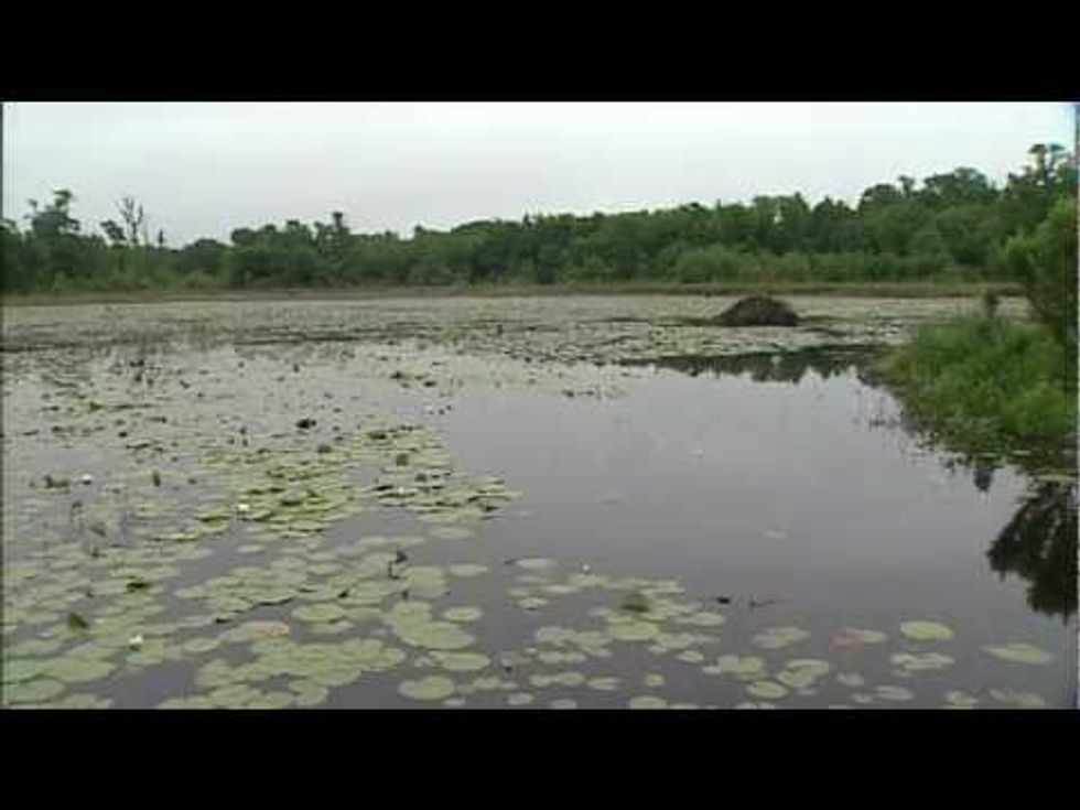 Restoring Texas outdoors: Conservation for all Texans