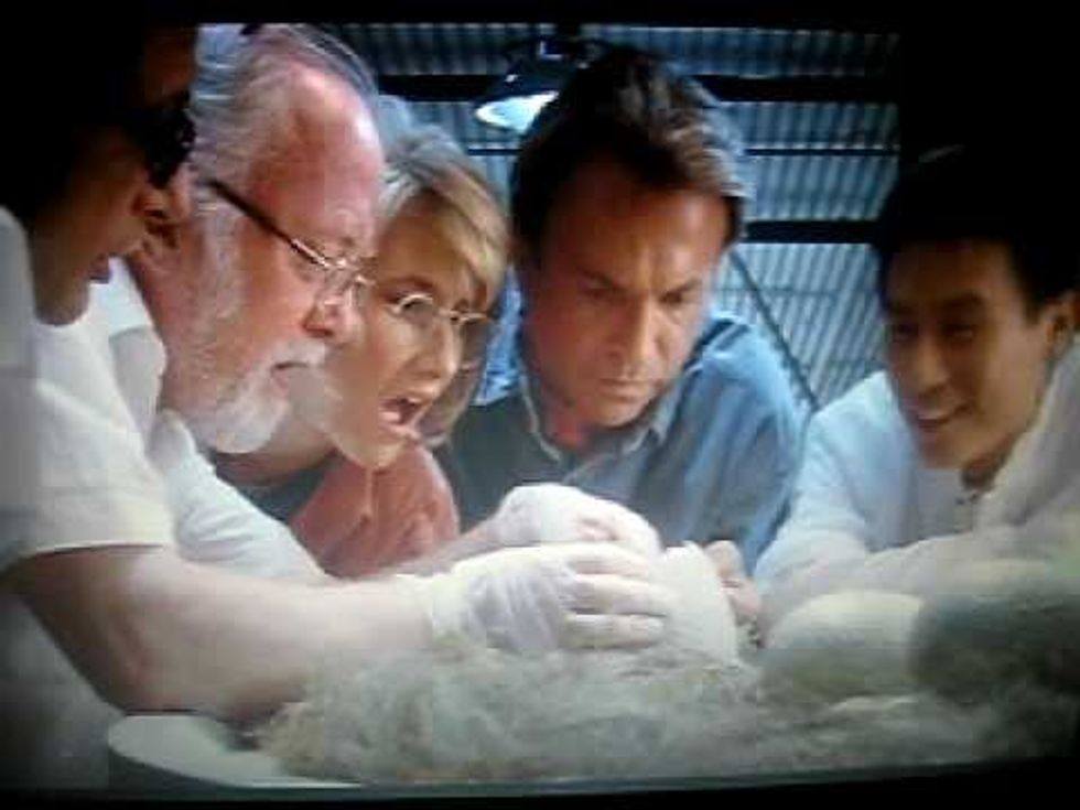 Clever girl: Rumors abound that Australian billionaire wants to create real lifeJurassic Park