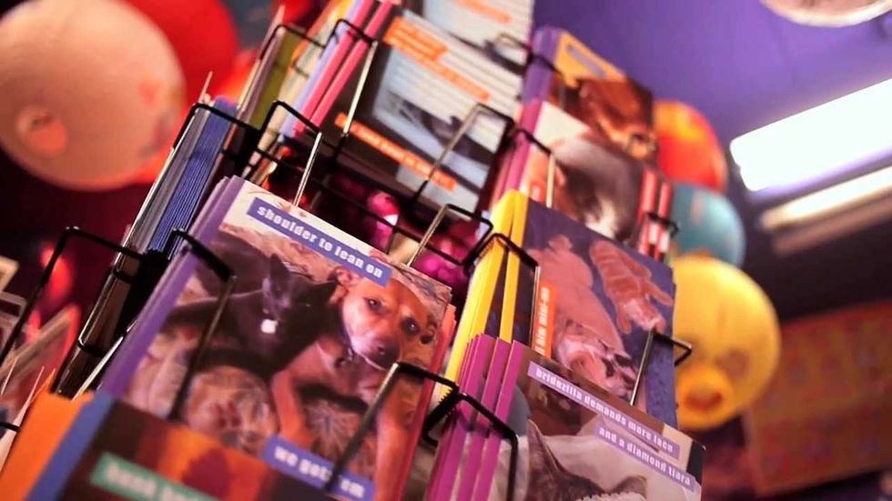 Fun for all and all for fun: Toy Joy teaches Austin how to play