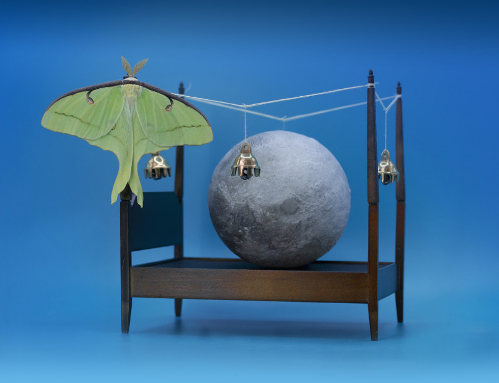 "Eye Moon Cocoon " opening reception