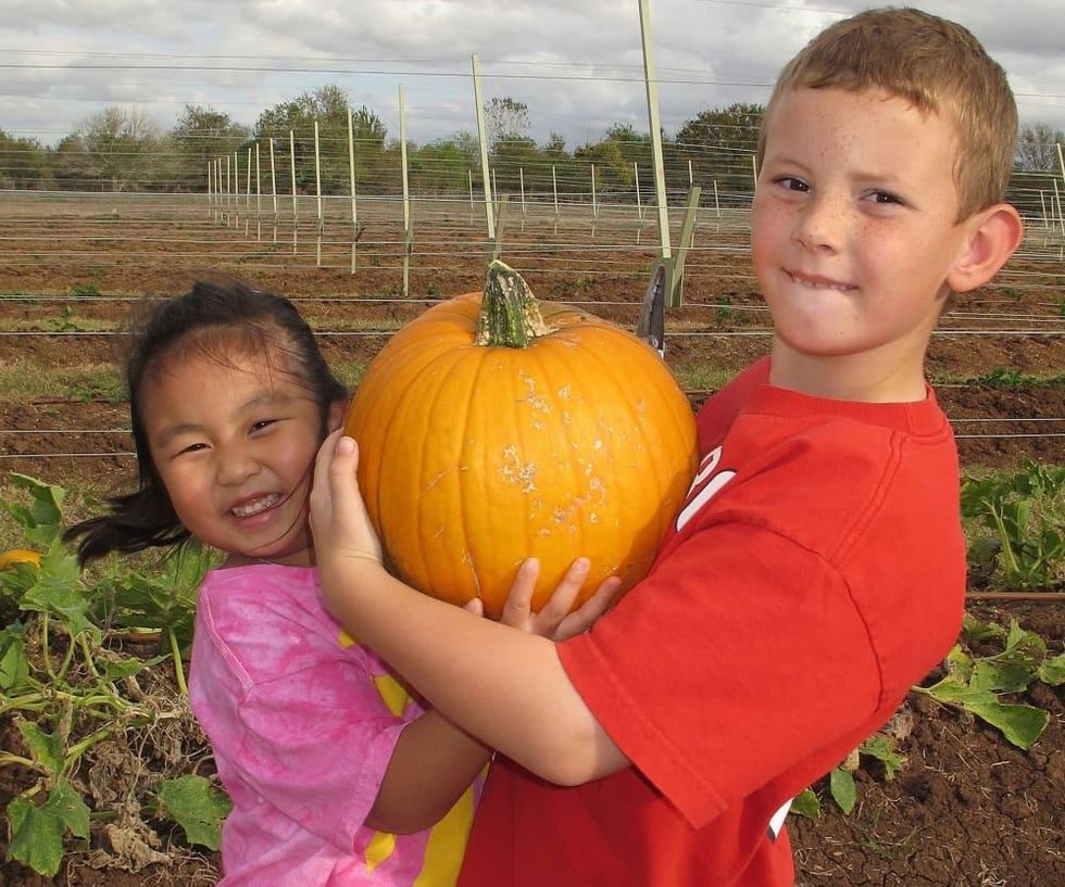 Fall Festival and Pumpkin Patch at Blessington Farms