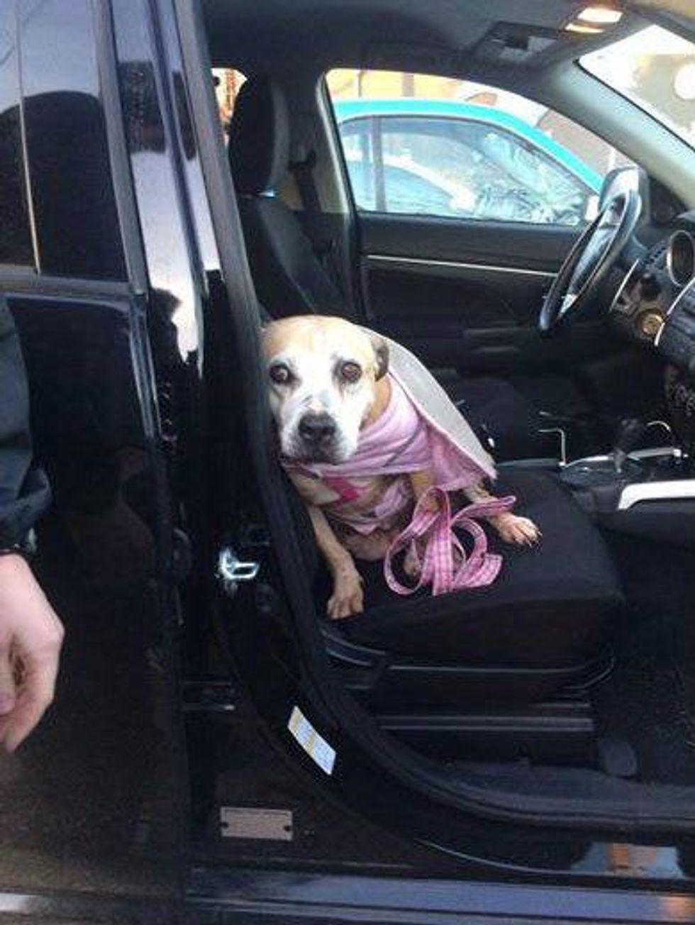 Fannie Austin pets alive