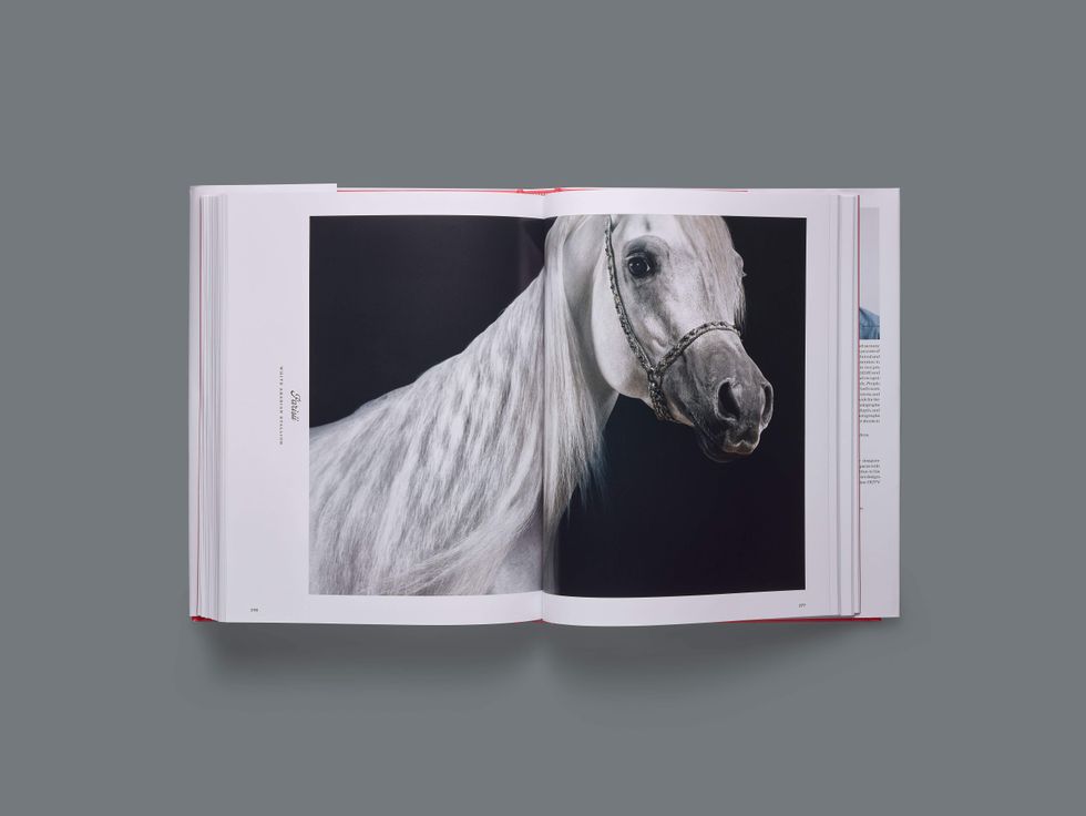 Farm Life by Randal Ford centerfold