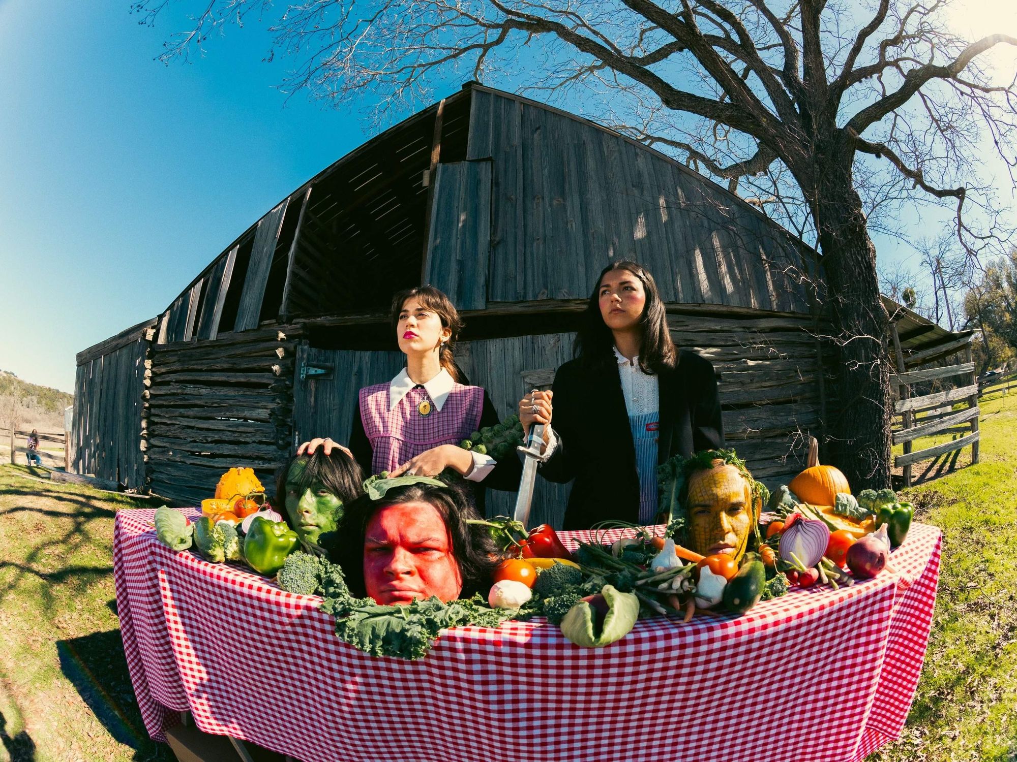 Farmer's Wife promotional image