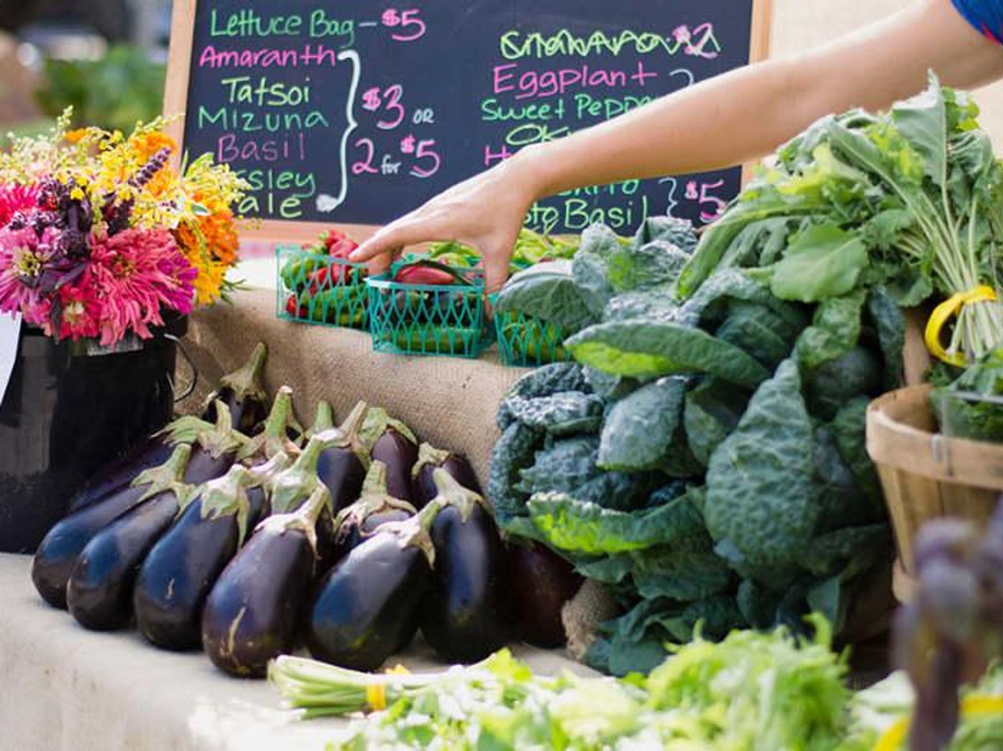 Farmers market, Sustainable Food Center