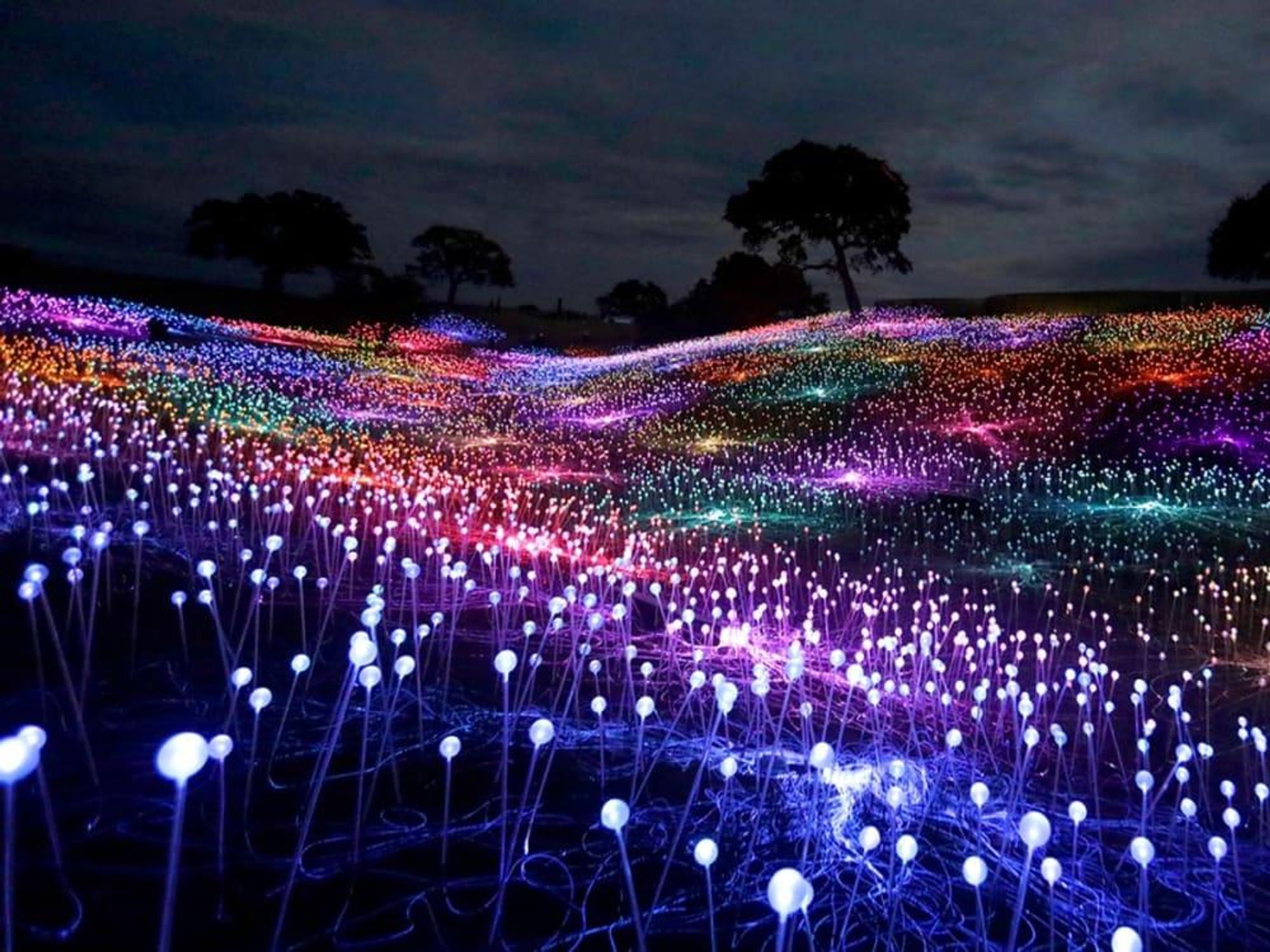 Field of Lights