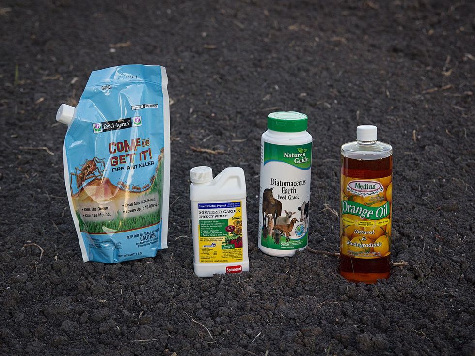 Fire ant mound treatments