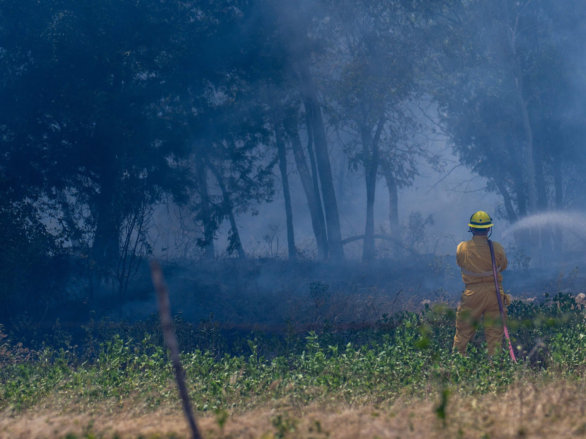 Firefighter putting out wildfire