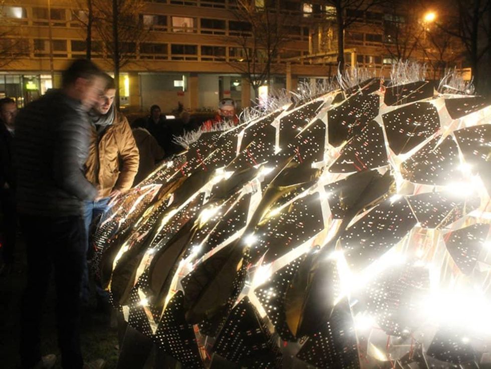 Flowering Phantasm by Clay Odom