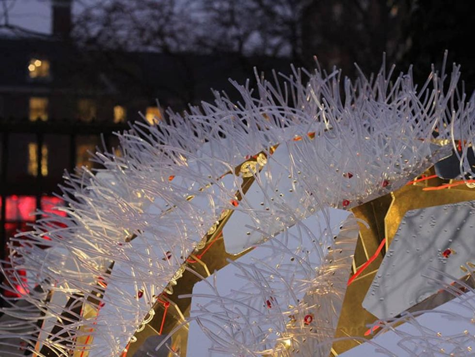 Flowering Phantasm by Clay Odom