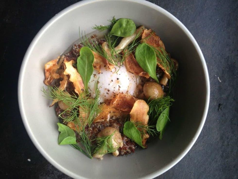 Foreign and Domestic duck egg + grains