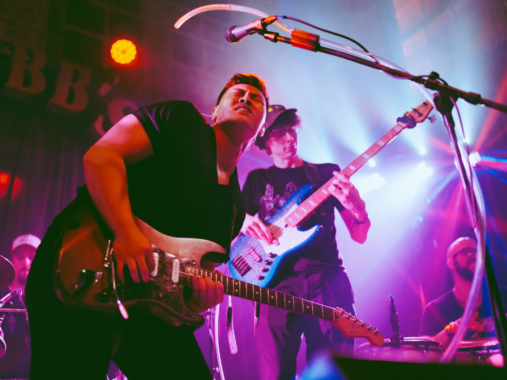 Free Week Austin Blue Tongue