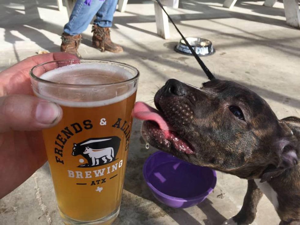 Friends & Allies Brewing