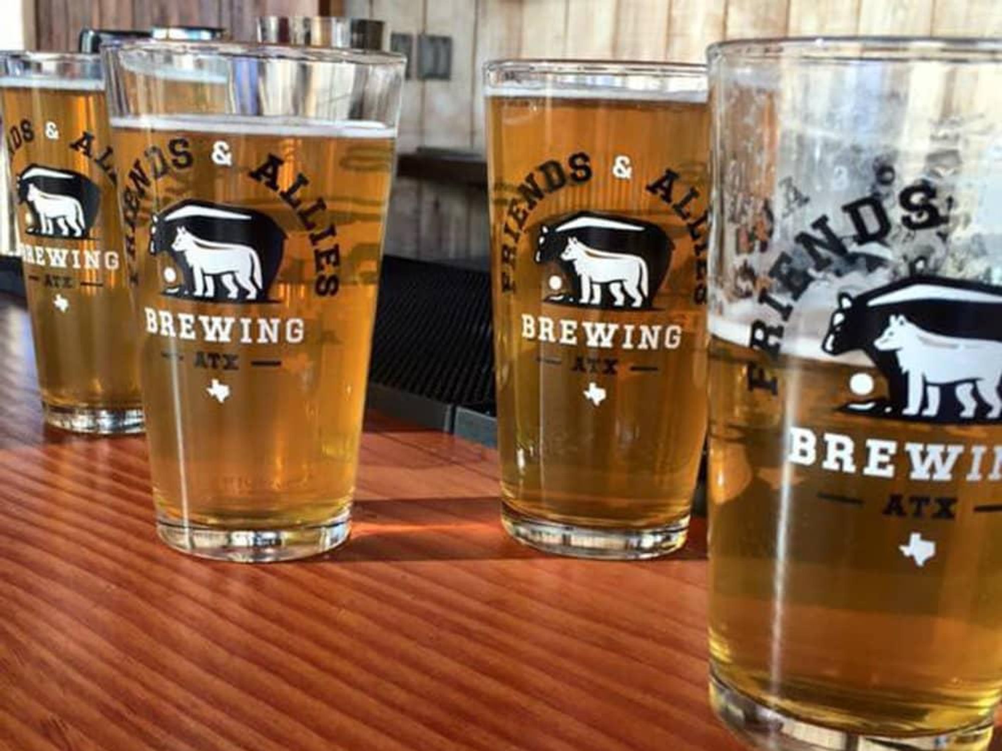 Friends and Allies Brewing Noisy Cricket Session IPA beer bar