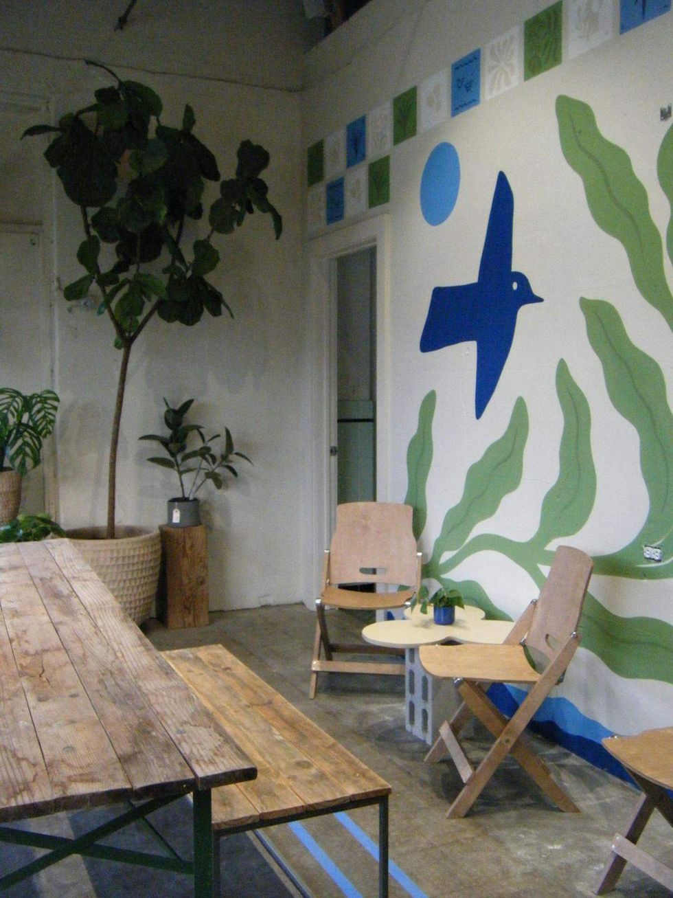 Frond Plant Shop and Desnudo Coffee seating